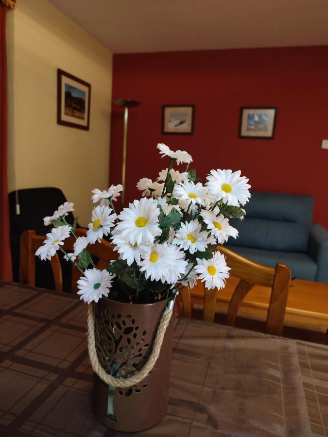 Apartamentos Casa Modesto Эскалона Экстерьер фото